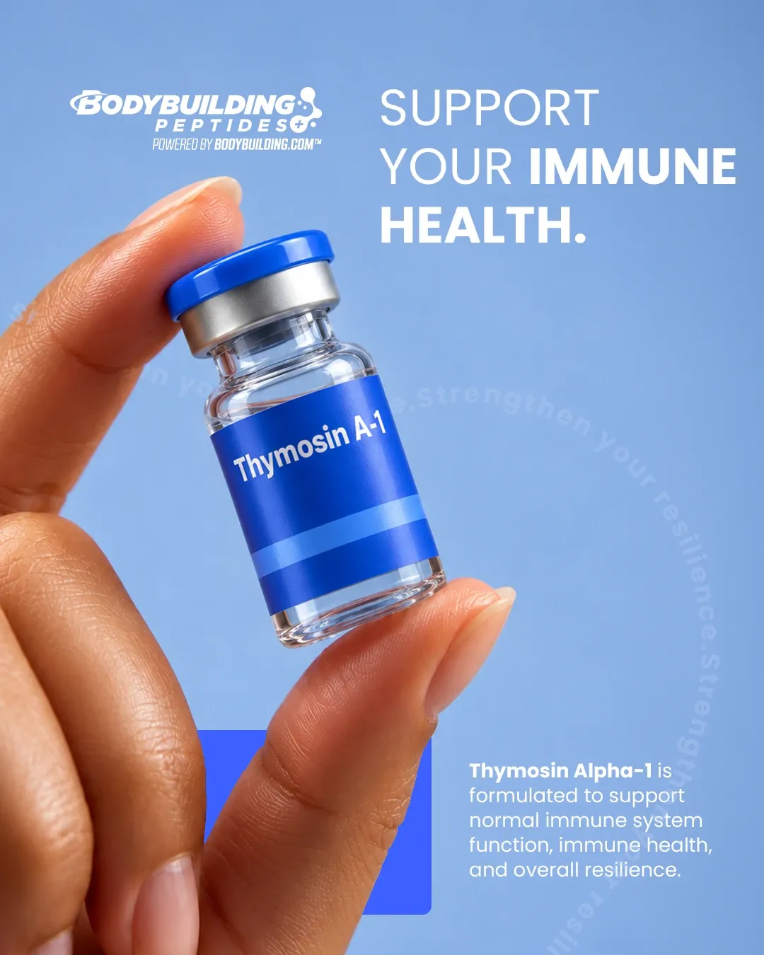 Bodybuilding Peptides ad: a hand holding a Thymosin Alpha-1 vial against a blue background, 'Support your immune health'